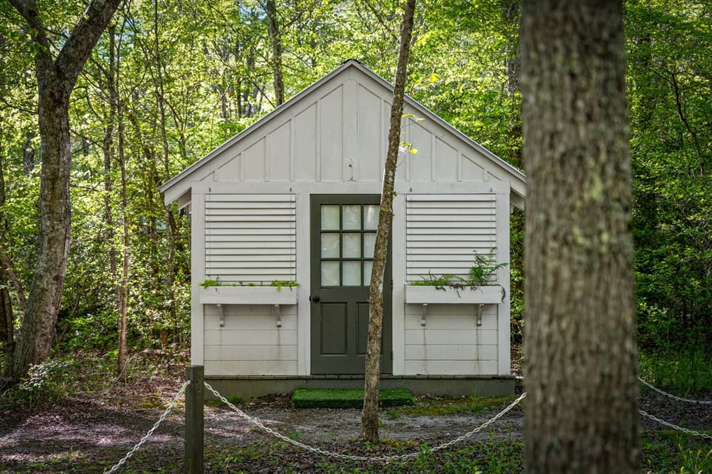 391 Forest Service 117 Road, Blairsville GA 30512 - Photo