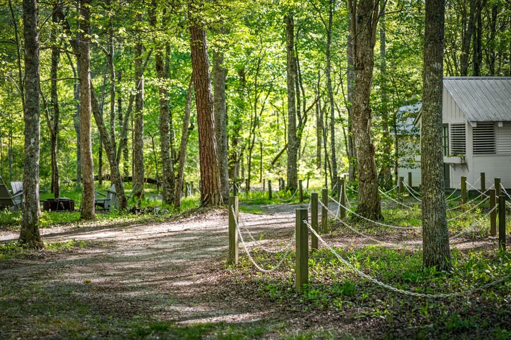391 Forest Service 117 Road, Blairsville GA 30512 - Photo