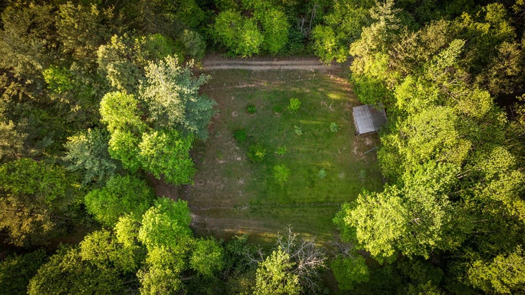 391 Forest Service 117 Road, Blairsville GA 30512 - Photo