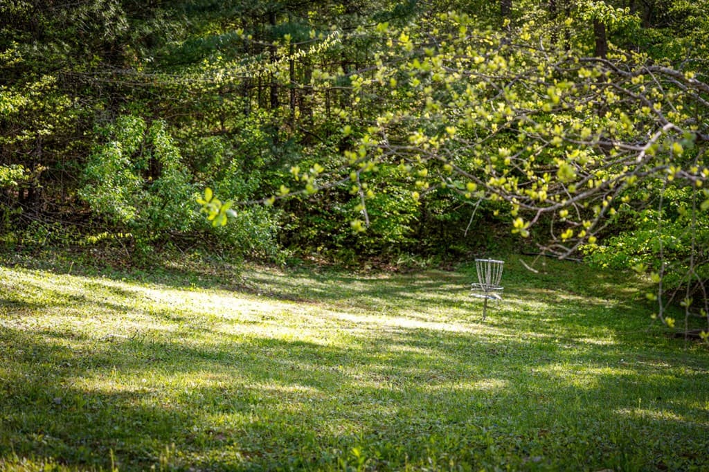 391 Forest Service 117 Road, Blairsville GA 30512 - Photo