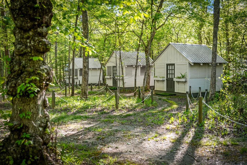 391 Forest Service 117 Road, Blairsville GA 30512 - Photo