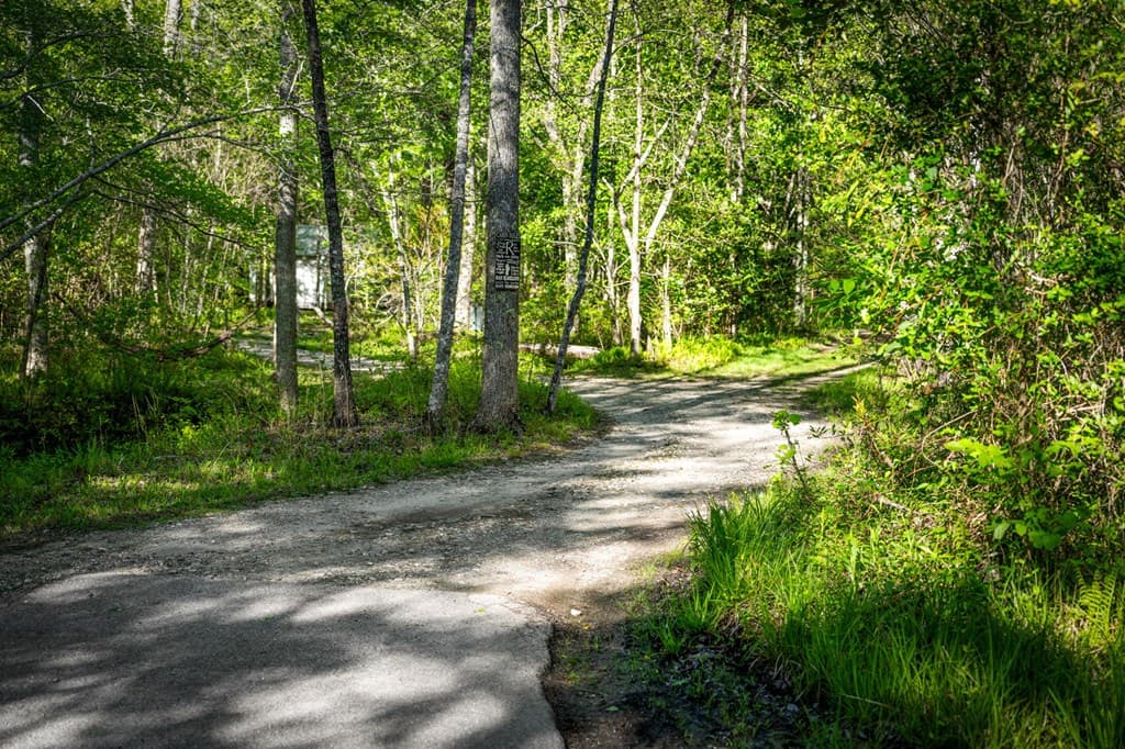 391 Forest Service 117 Road, Blairsville GA 30512 - Photo