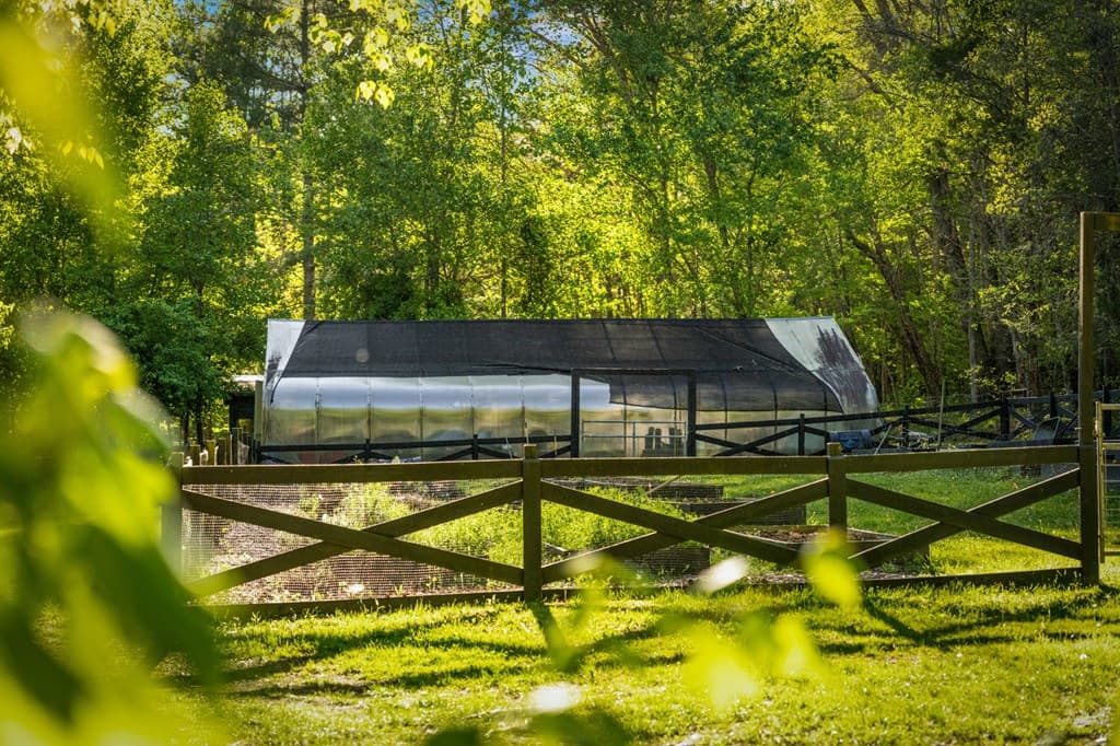 391 Forest Service 117 Road, Blairsville GA 30512 - Photo