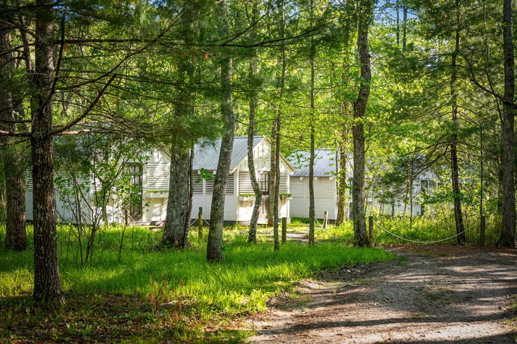 391 Forest Service 117 Road, Blairsville GA 30512 - Photo