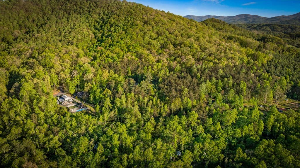 391 Forest Service 117 Road, Blairsville GA 30512 - Photo