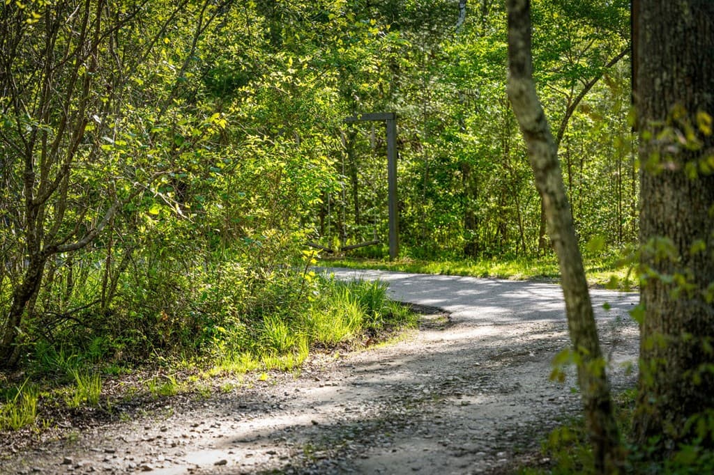 391 Forest Service 117 Road, Blairsville GA 30512 - Photo