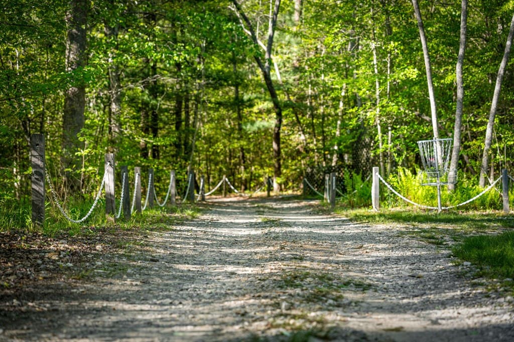 391 Forest Service 117 Road, Blairsville GA 30512 - Photo