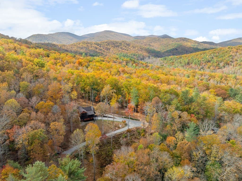 247 Toccoa Overlook Drive, Blue Ridge GA 30513 - Photo