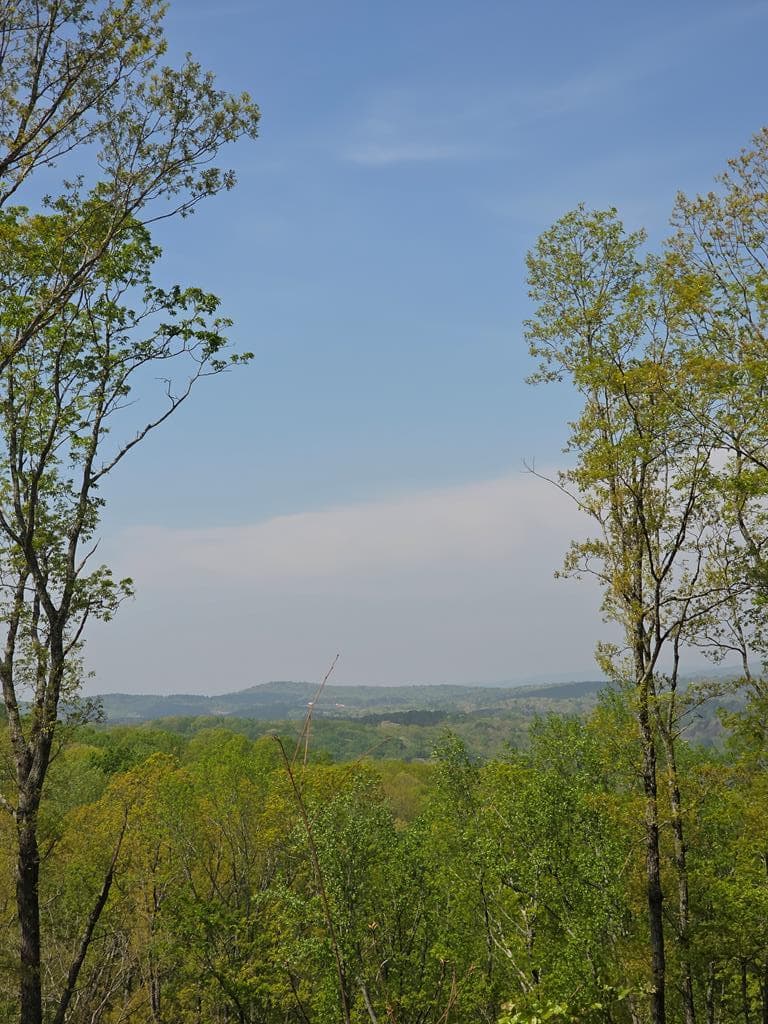 Lot 105 Twisted Oak Road, Talking Rock GA 30175 - Photo