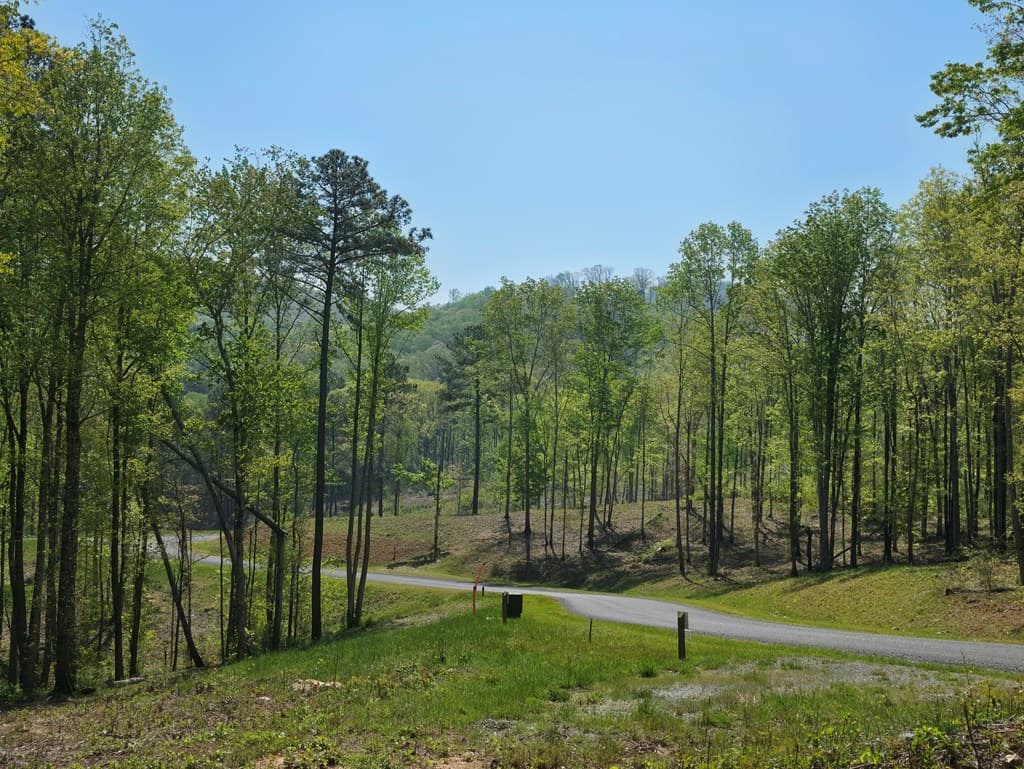 Lot 105 Twisted Oak Road, Talking Rock GA 30175 - Photo