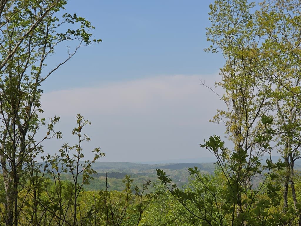 Lot 105 Twisted Oak Road, Talking Rock GA 30175 - Photo