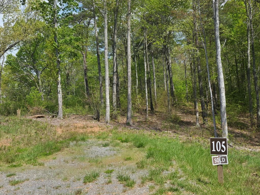 Lot 105 Twisted Oak Road, Talking Rock GA 30175 - Photo