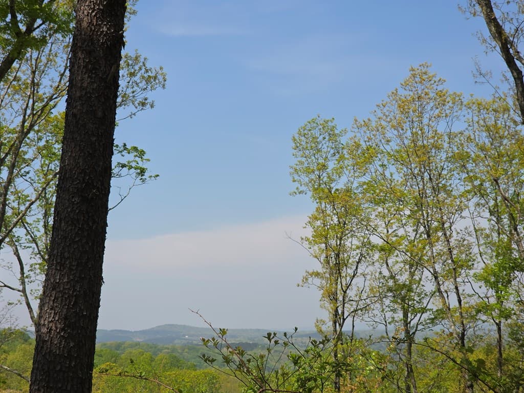 Lot 105 Twisted Oak Road, Talking Rock GA 30175 - Photo