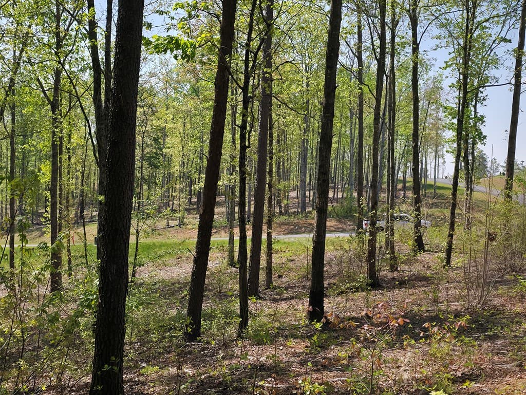 Lot 105 Twisted Oak Road, Talking Rock GA 30175 - Photo