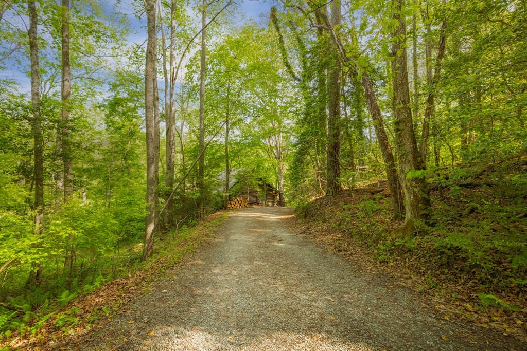 459 Mill Stone Mountain, Blue Ridge GA 30513 - Photo