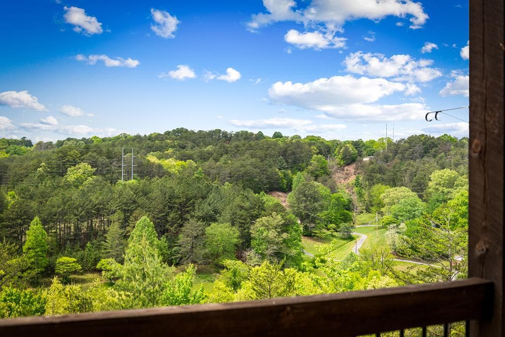 670 River Hills, Mineral Bluff GA 30559 - Photo