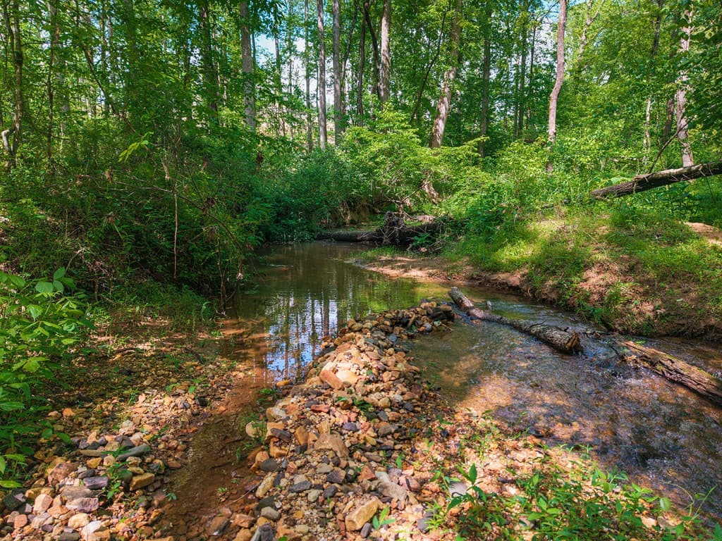 392 London Road, Ball Ground GA 30107 - Photo