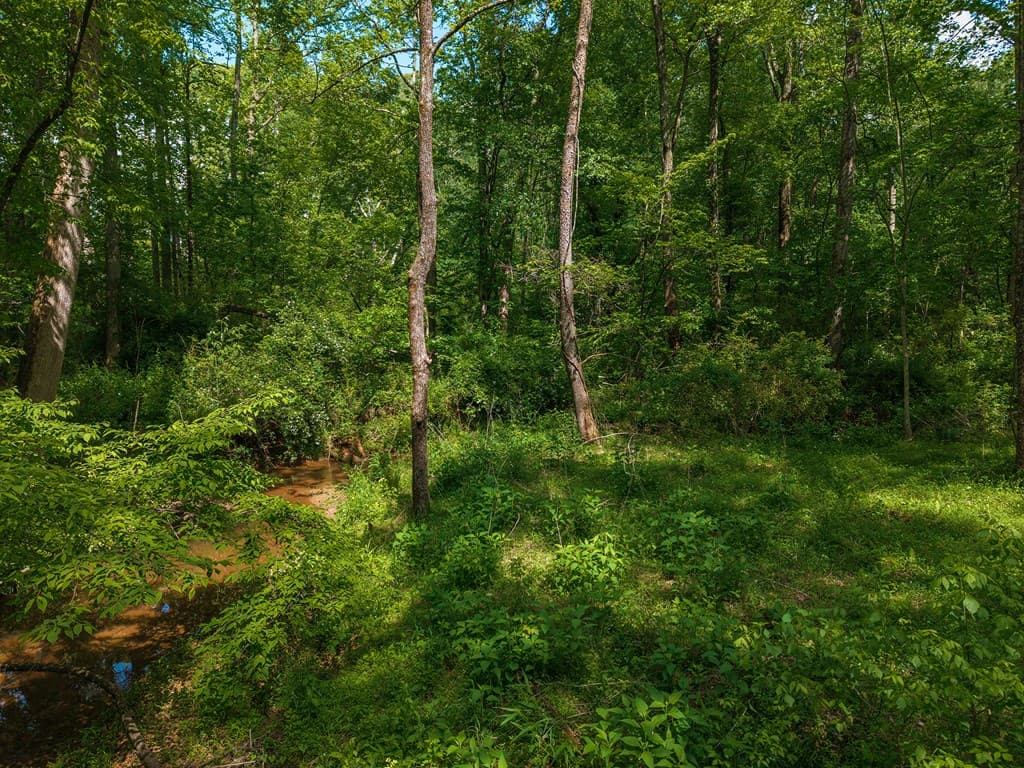 392 London Road, Ball Ground GA 30107 - Photo