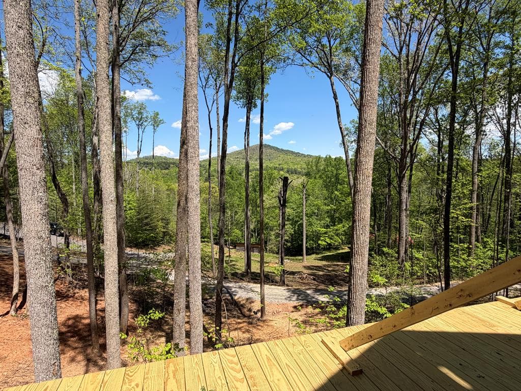 95 Oak Cliff Lane, Morganton GA 30560 - Photo