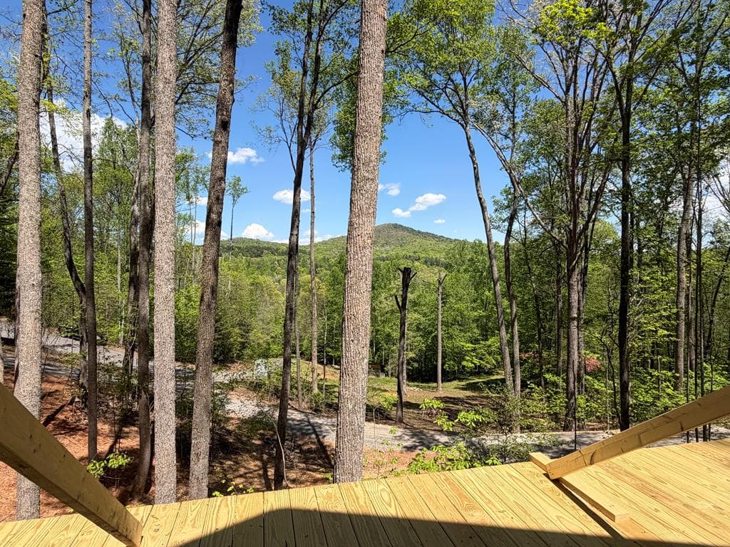 95 Oak Cliff Lane, Morganton GA 30560 - Photo