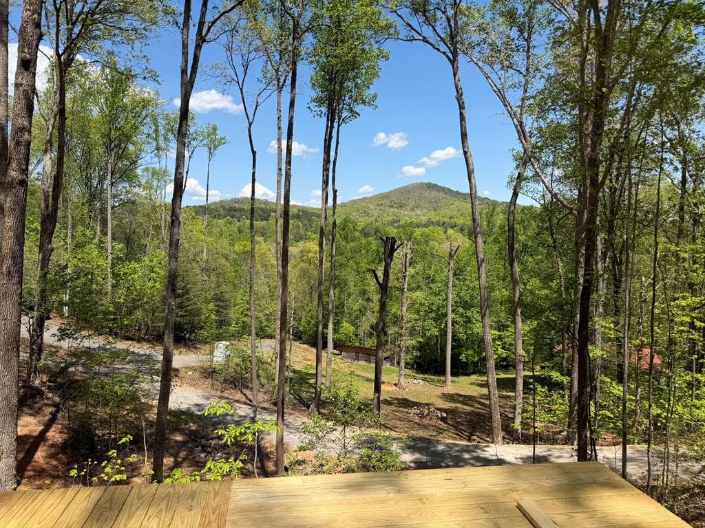 95 Oak Cliff Lane, Morganton GA 30560 - Photo