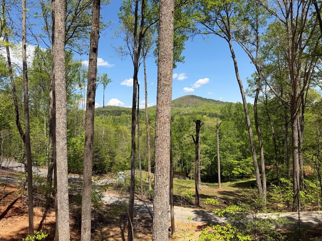 95 Oak Cliff Lane, Morganton GA 30560 - Photo