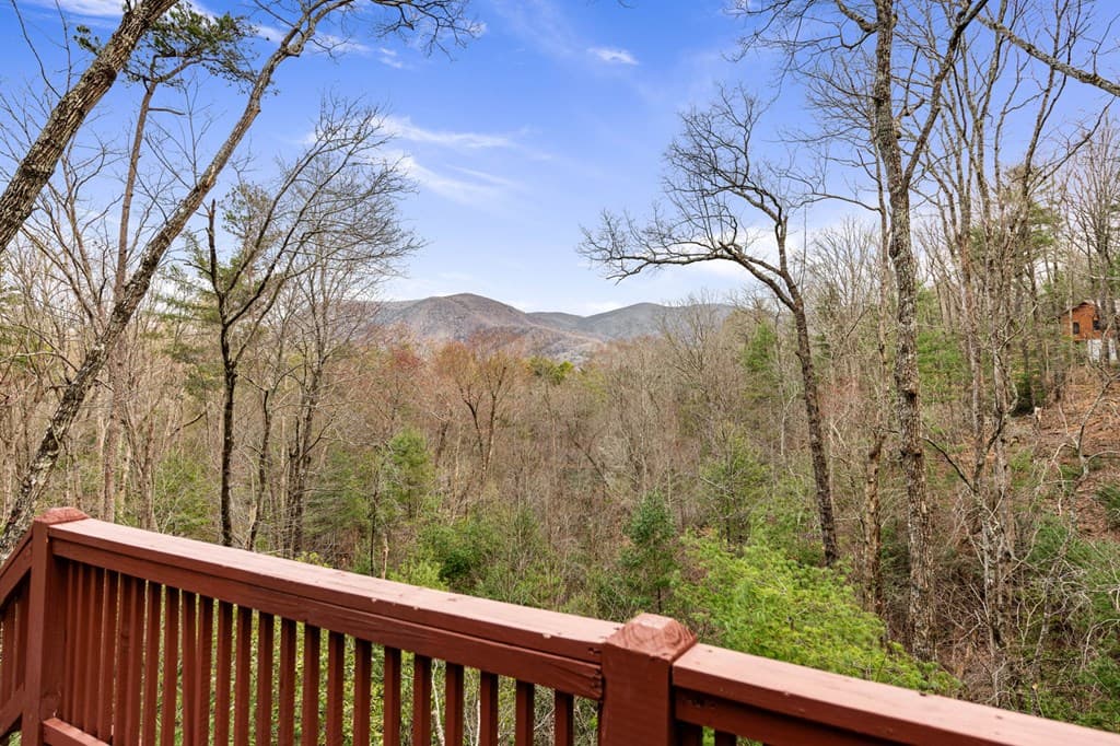 1822 Hidden Lake Drive, Cherry Log GA 30522 - Photo