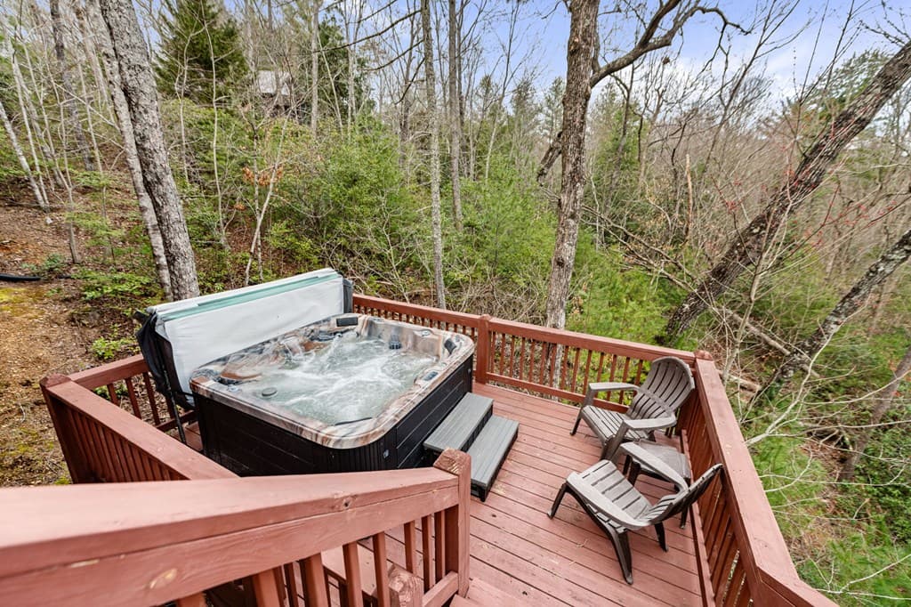 1822 Hidden Lake Drive, Cherry Log GA 30522 - Photo