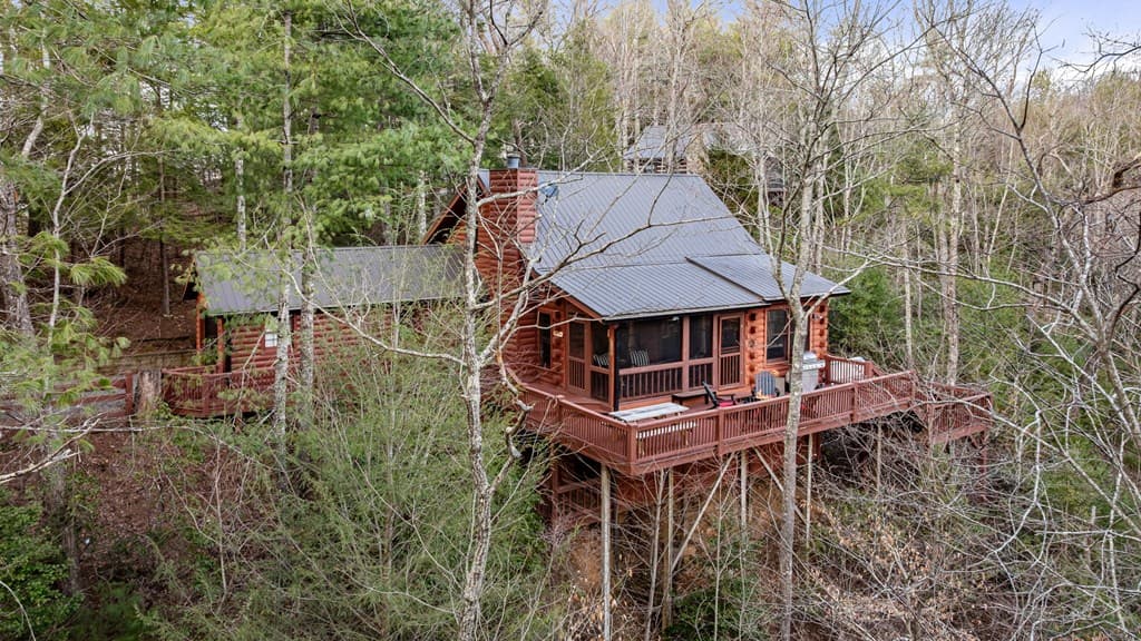 1822 Hidden Lake Drive, Cherry Log GA 30522 - Photo