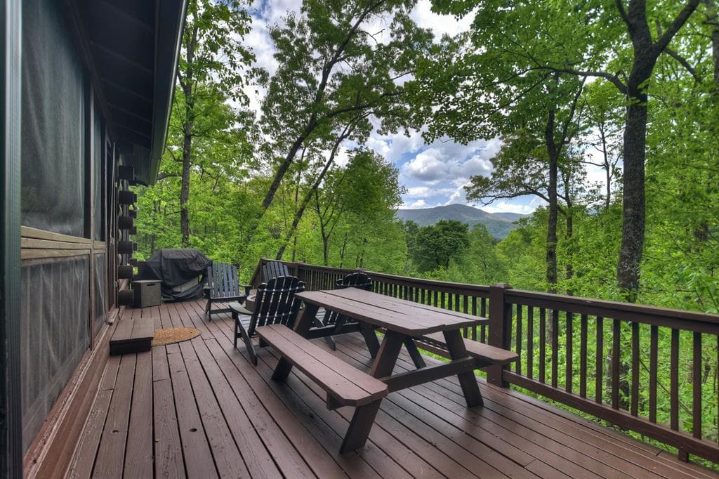 1822 Hidden Lake Drive, Cherry Log GA 30522 - Photo