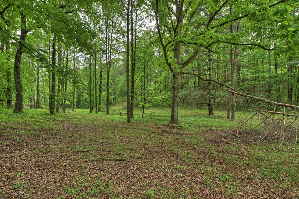 5568 Hwy 382, Ellijay GA 30540 - Photo