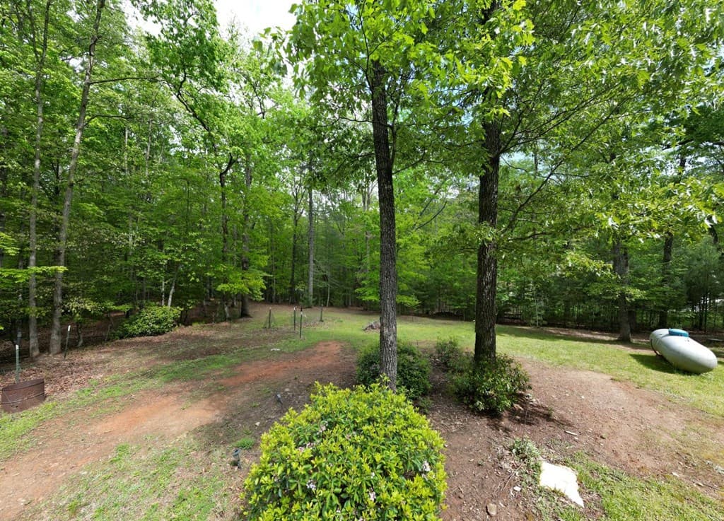 110 Hampton Road, Morganton GA 30560 - Photo