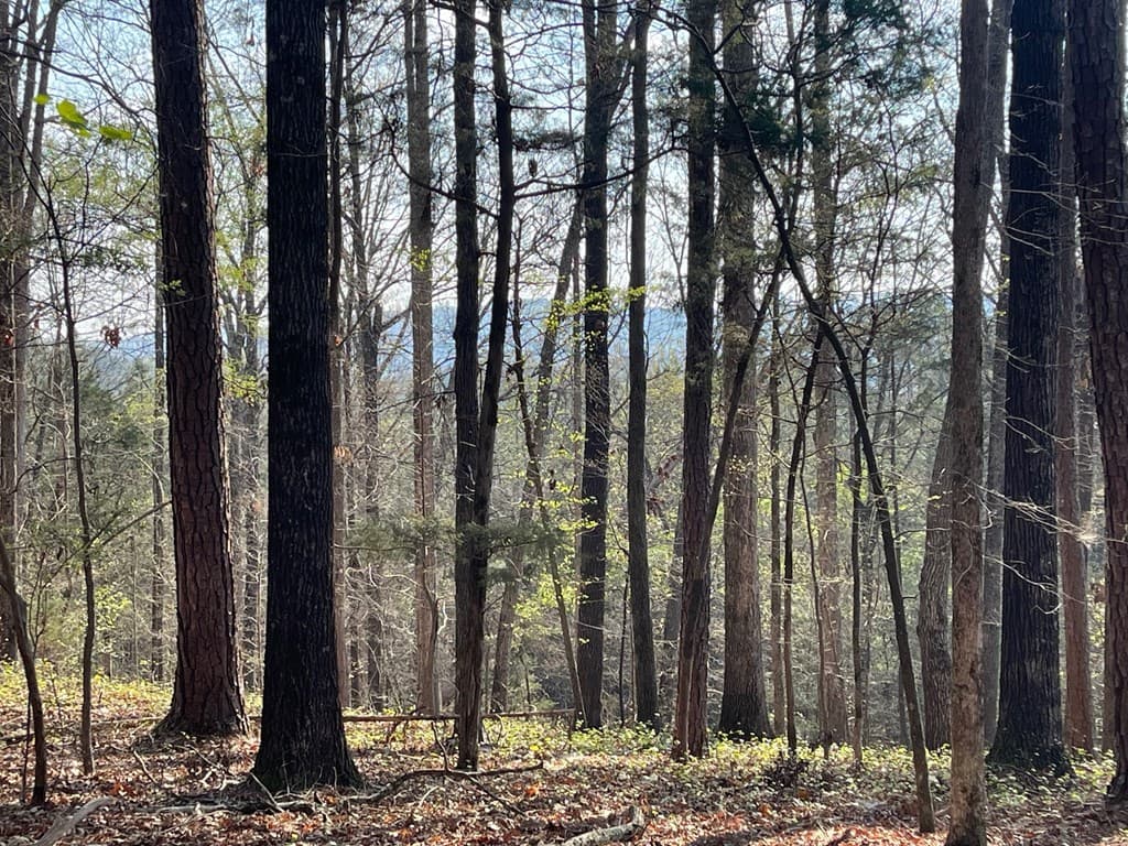 Lot 12 Chalcrest Way, Cave Spring GA 30124 - Photo