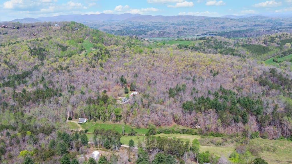 202 Dove Lane, Morganton GA 30560 - Photo