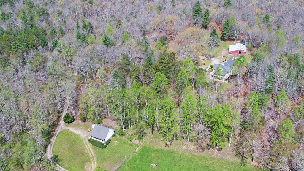 202 Dove Lane, Morganton GA 30560 - Photo
