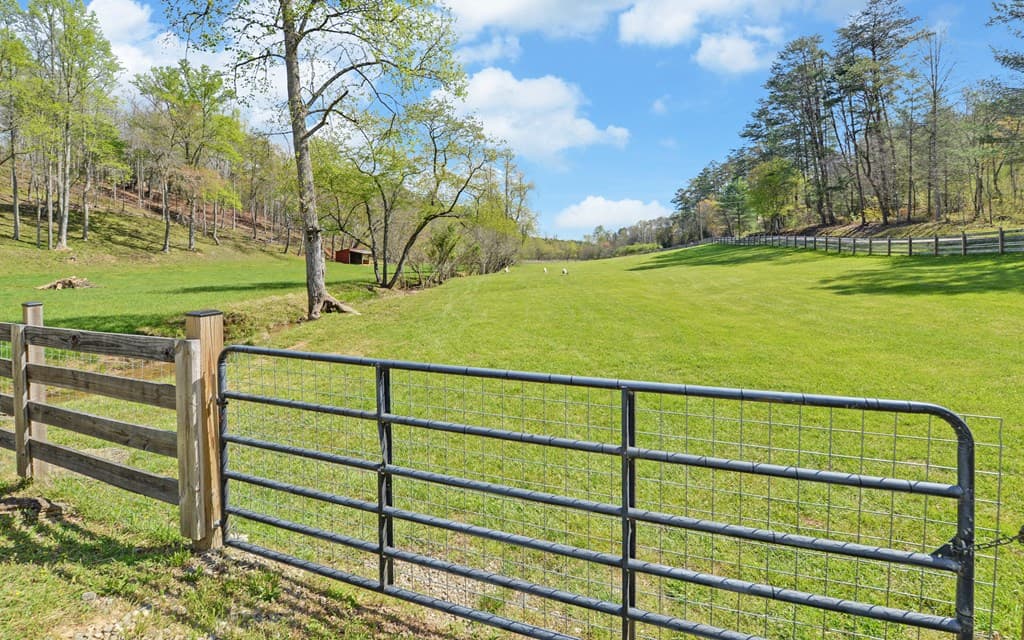 202 Dove Lane, Morganton GA 30560 - Photo