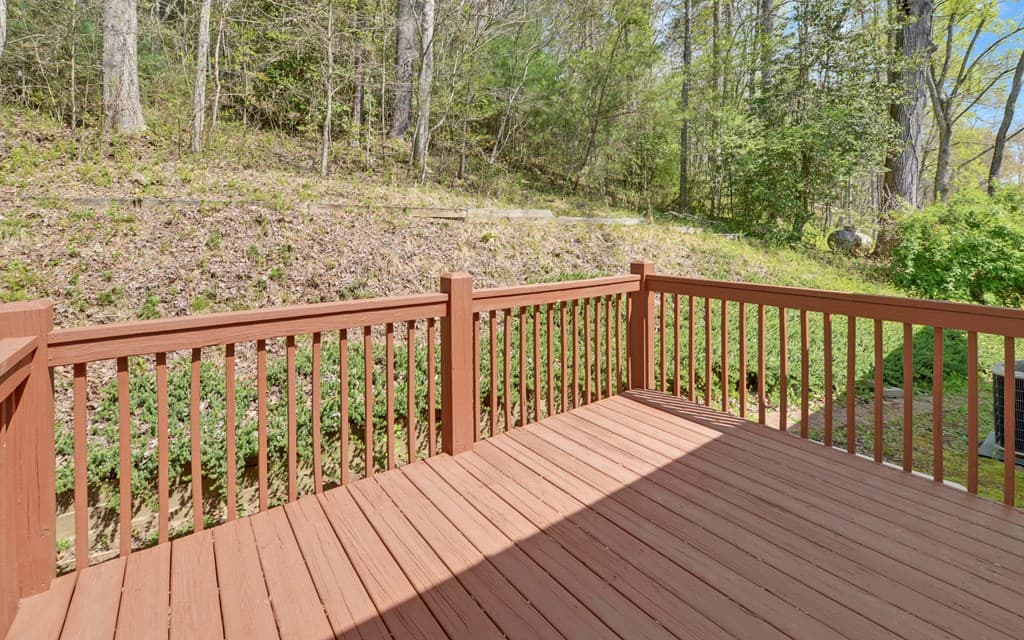 202 Dove Lane, Morganton GA 30560 - Photo