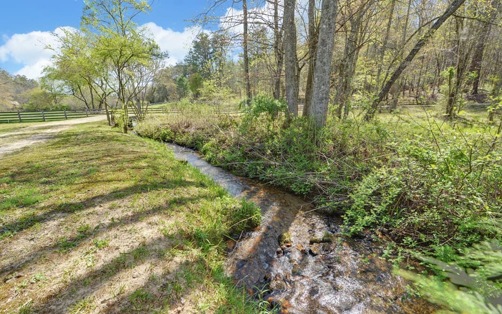 202 Dove Lane, Morganton GA 30560 - Photo