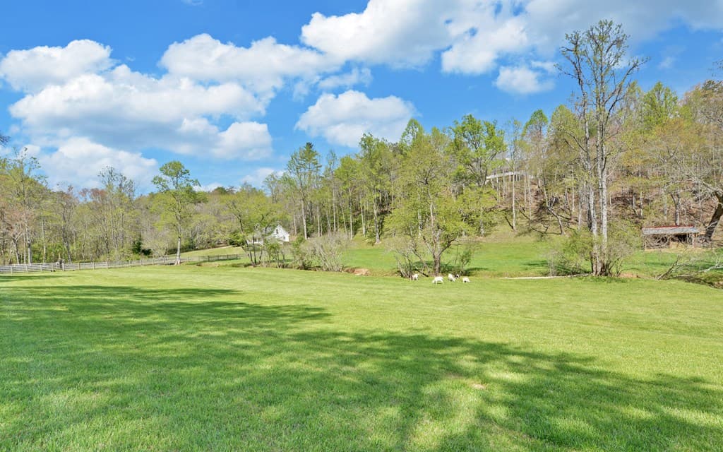 202 Dove Lane, Morganton GA 30560 - Photo