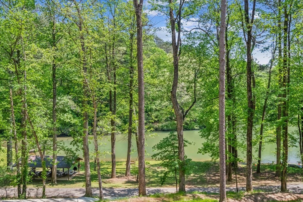 245 Timberwalk Drive, Ellijay GA 30540 - Photo