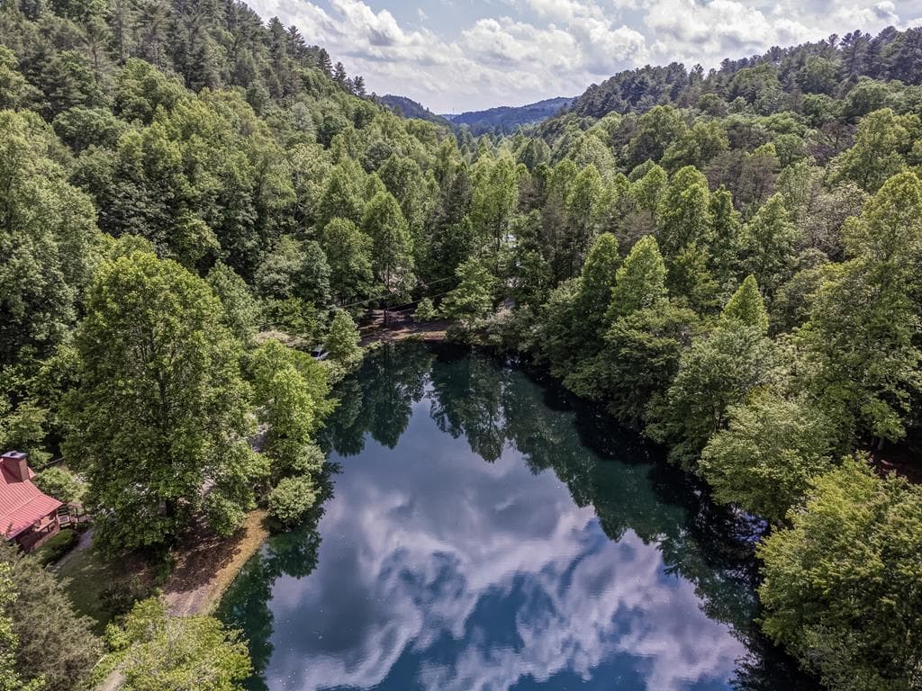 64 Bear Lake Drive, Blue Ridge GA 30513 - Photo