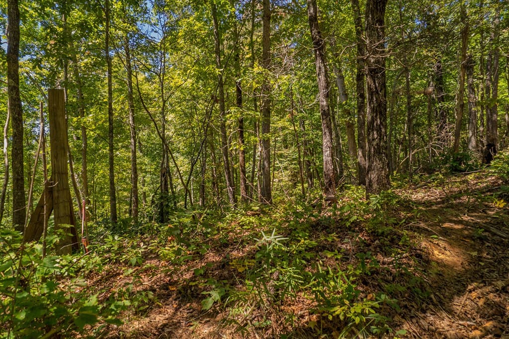 Lot 1 Harris Branch Road E, Ellijay GA 30540 - Photo
