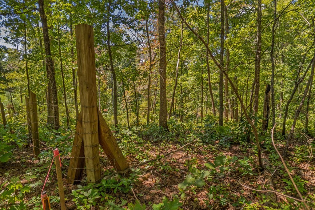 Lot 1 Harris Branch Road E, Ellijay GA 30540 - Photo