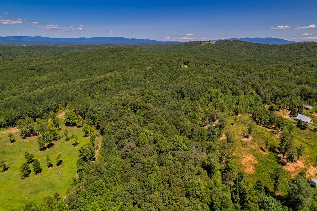 Lot 1 Harris Branch Road E, Ellijay GA 30540 - Photo