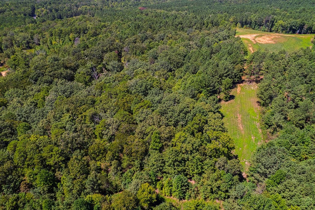 Lot 19 Harris Branch Road E, Ellijay GA 30540 - Photo