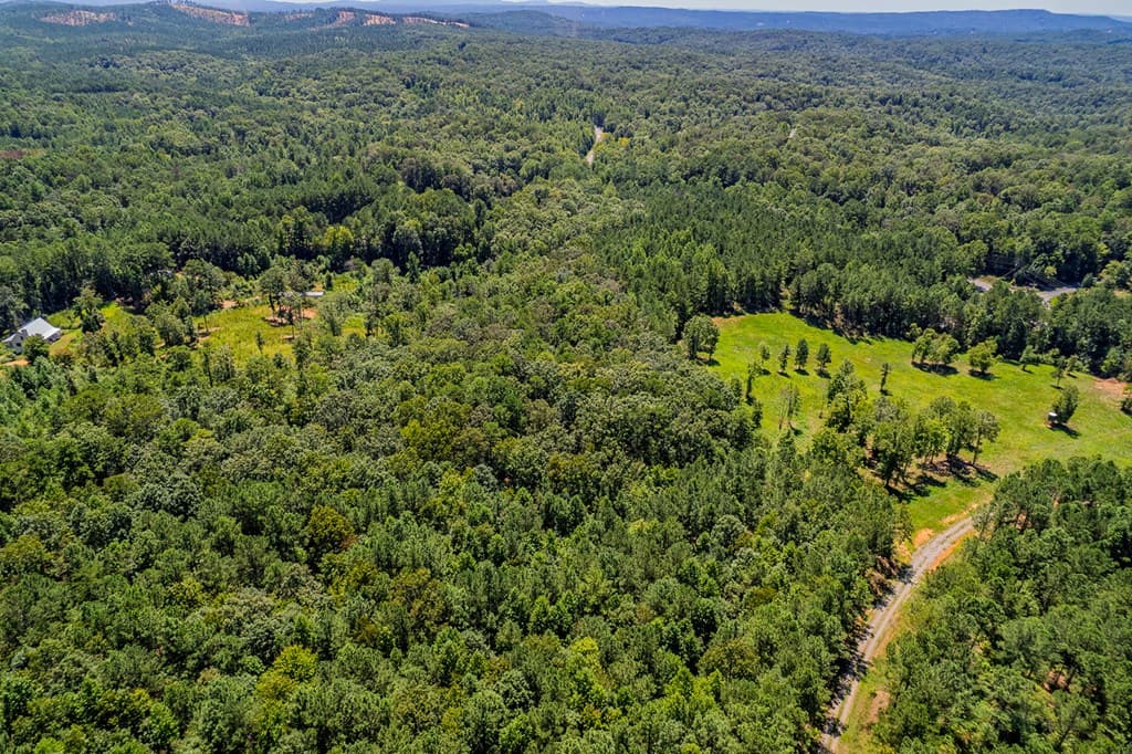 Lot 19 Harris Branch Road E, Ellijay GA 30540 - Photo