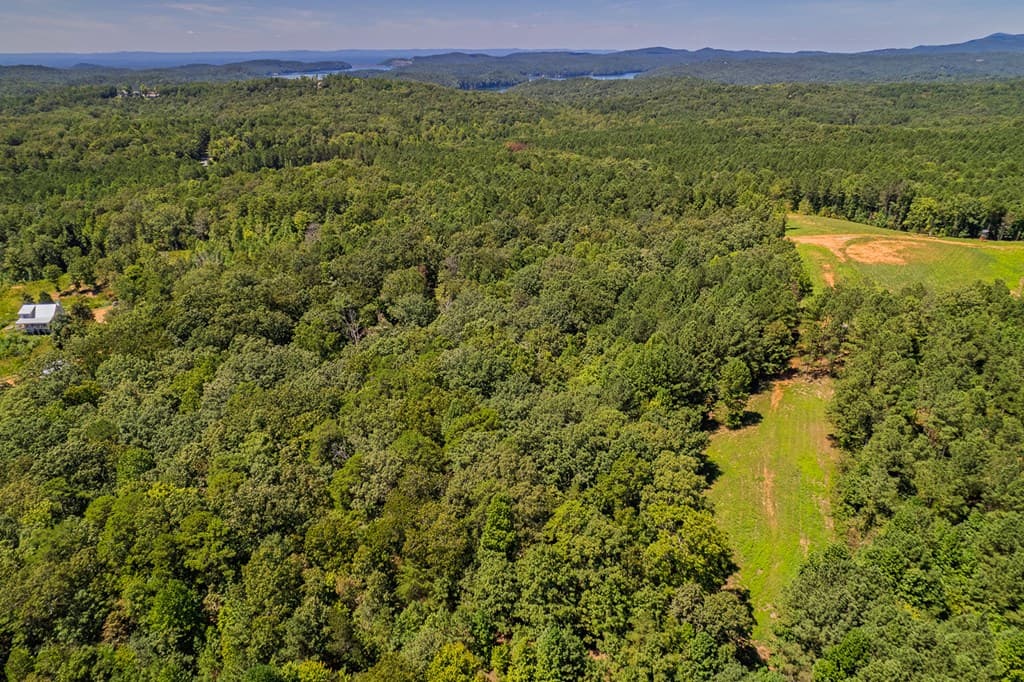 Lot 19 Harris Branch Road E, Ellijay GA 30540 - Photo