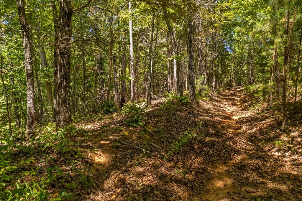 Lot 19 Harris Branch Road E, Ellijay GA 30540 - Photo