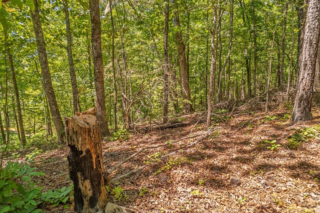 Lot 19 Harris Branch Road E, Ellijay GA 30540 - Photo
