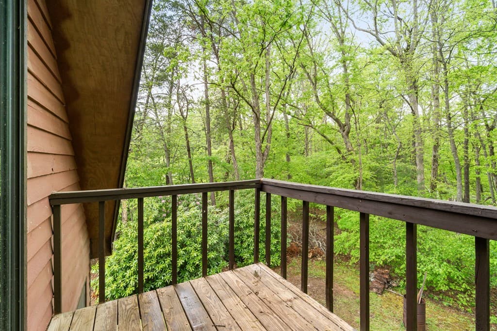 206 Ivy Knob Lane, Hayesville NC 28904 - Photo